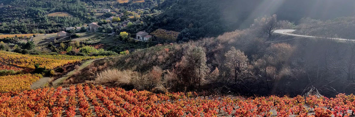 Midi Estate - real estate in Roquebrun - South of France - Occitanie - Herault